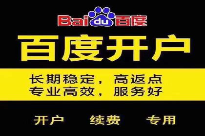 竞价代运营成功案例：快速占领市场